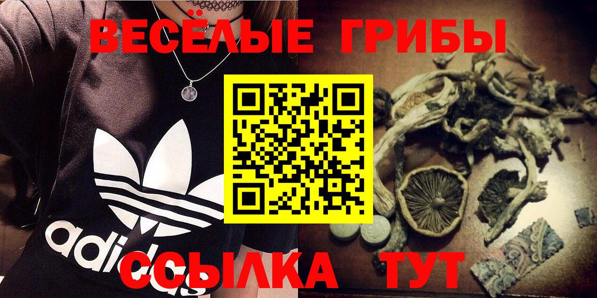 Елизово  Галлюциногенные грибы Magic Shrooms  Вход с VPN 